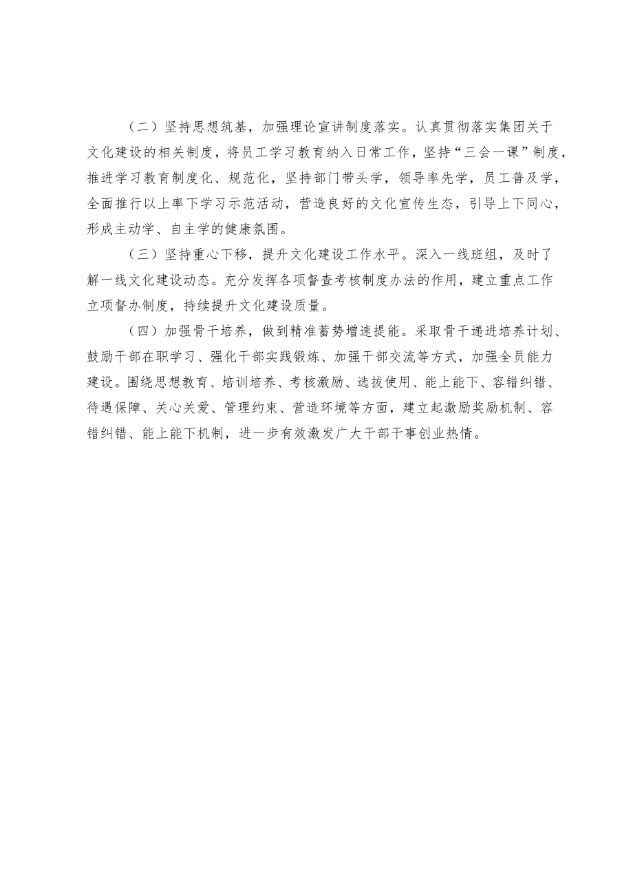 集团公司抓文化建设述职报告.docx_第3页