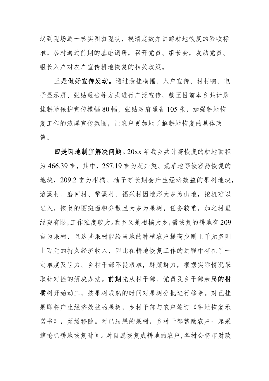 xx乡自然资源所20xx年度自然资源工作总结.docx_第2页