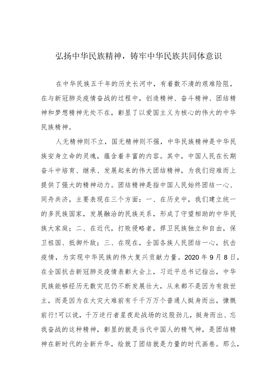 弘扬中华民族精神铸牢中华民族共同体意识.docx_第1页