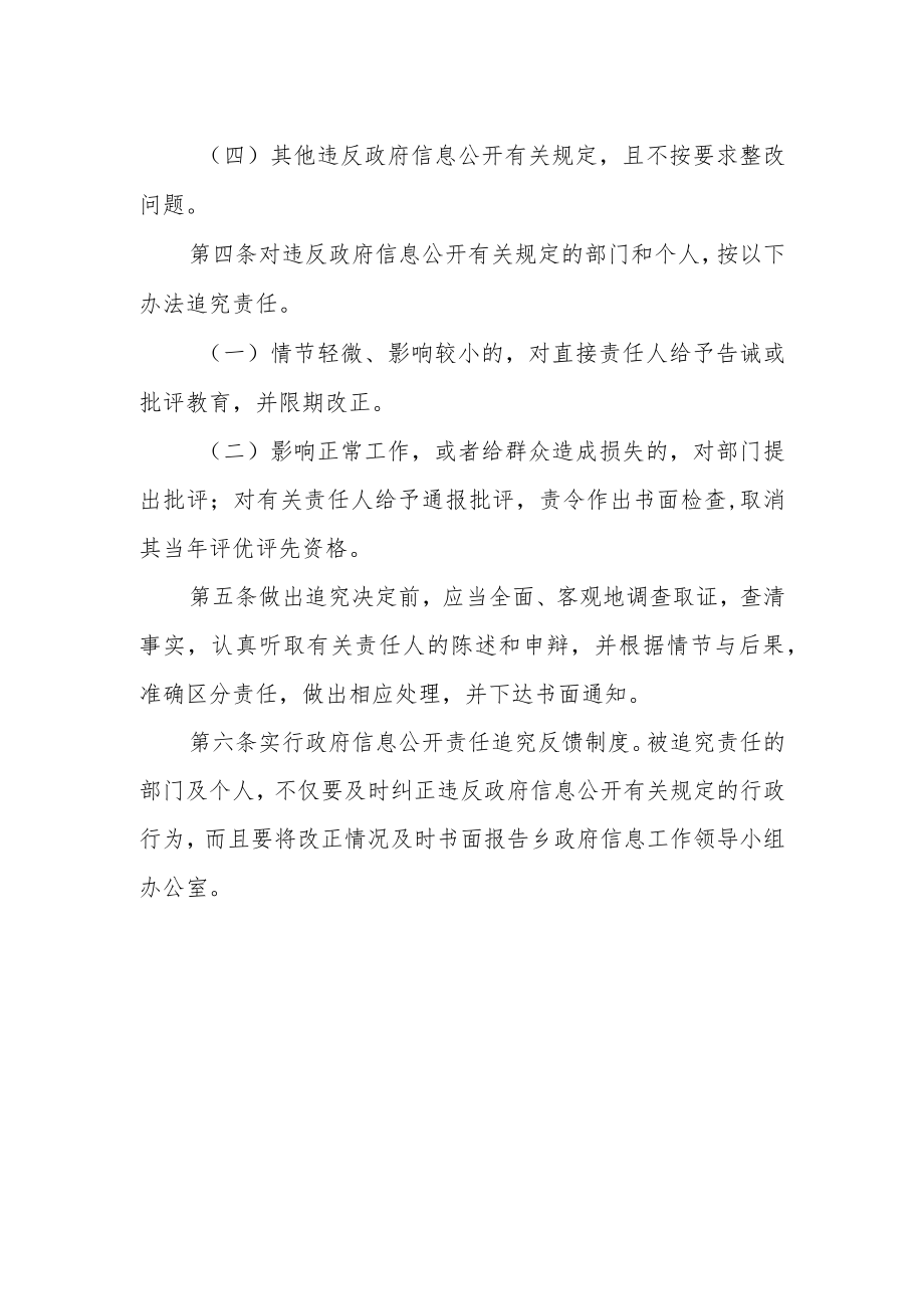 乡政府信息公开责任追究制度.docx_第2页