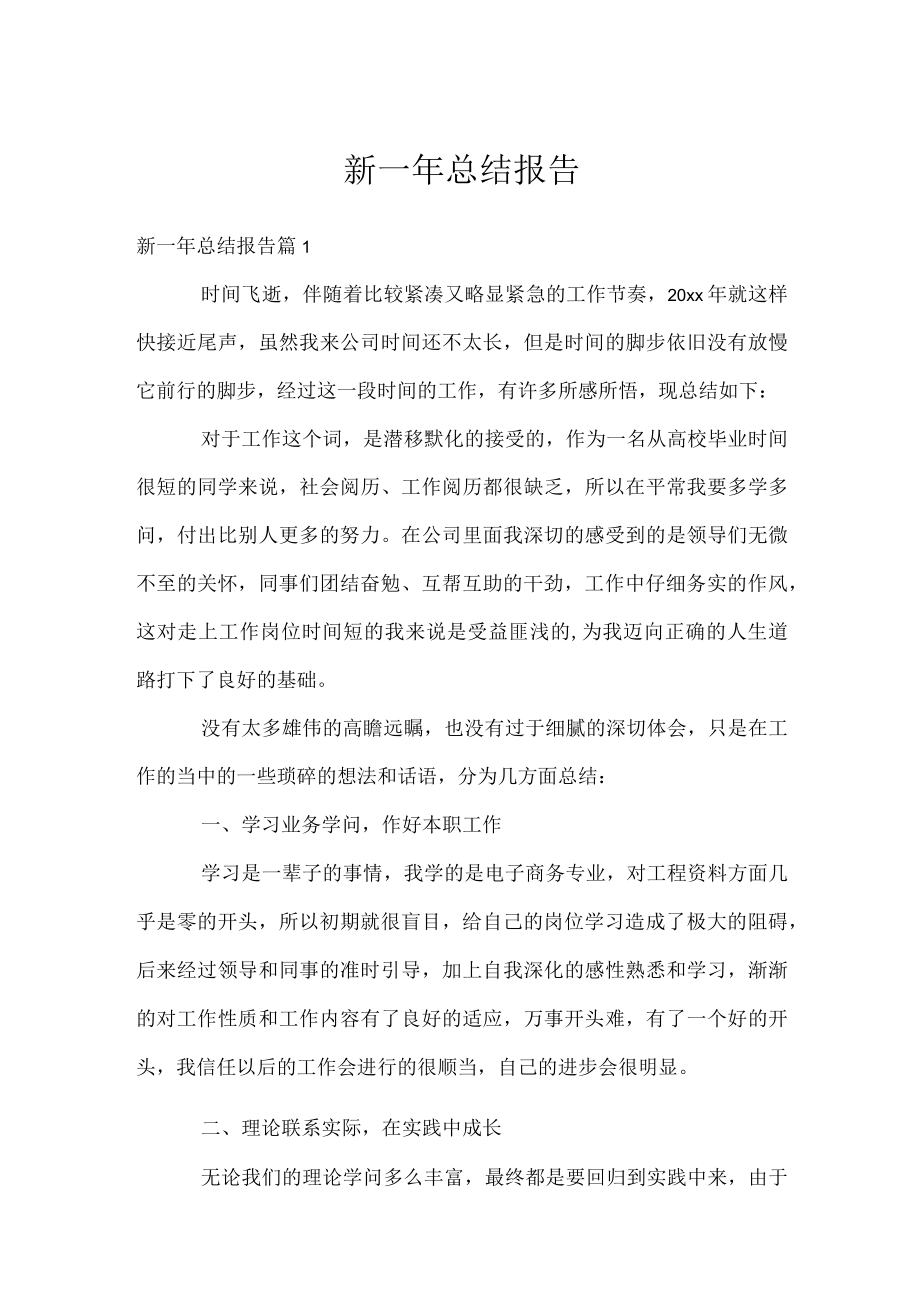 新一年总结报告.docx_第1页