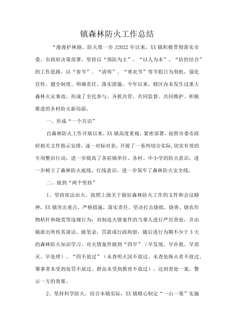 镇森林防火工作总结.docx_第1页