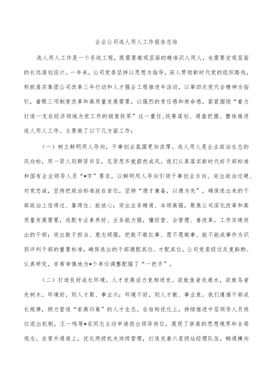 企业公司选人用人工作报告总结.docx_第1页