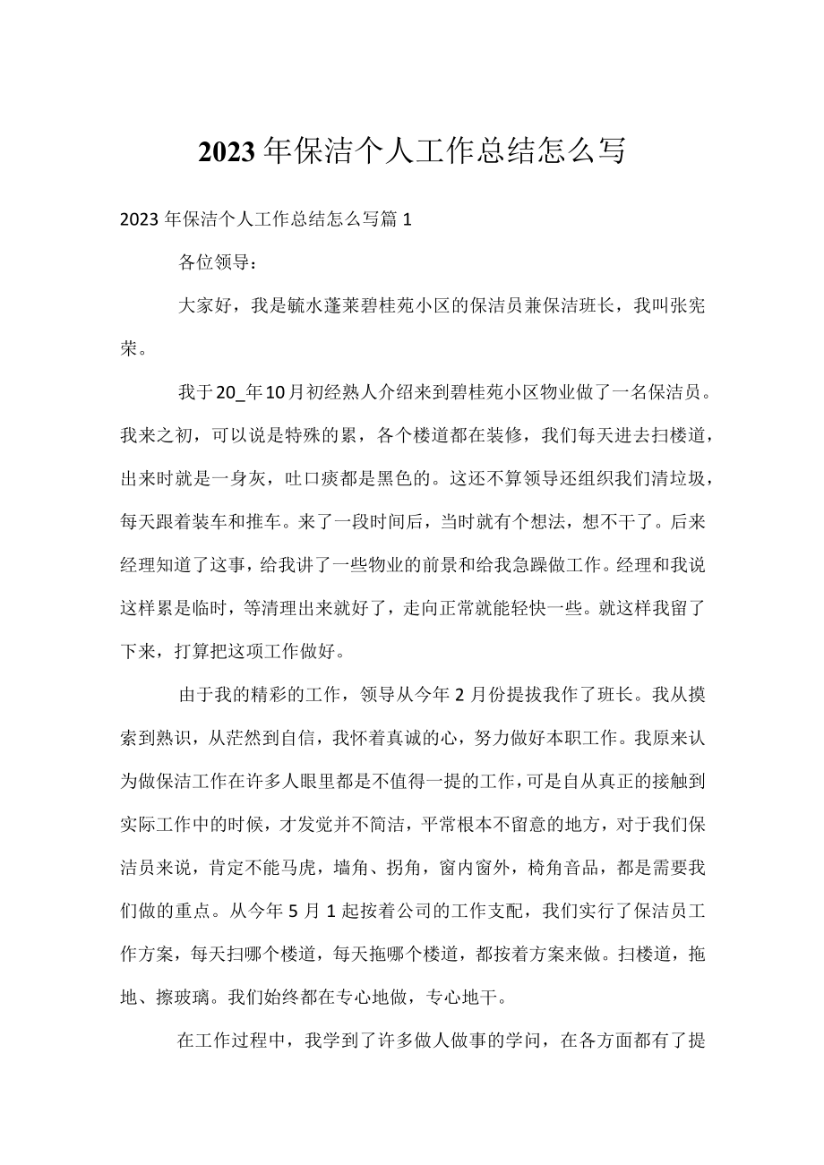 2023年保洁个人工作总结怎么写.docx_第1页