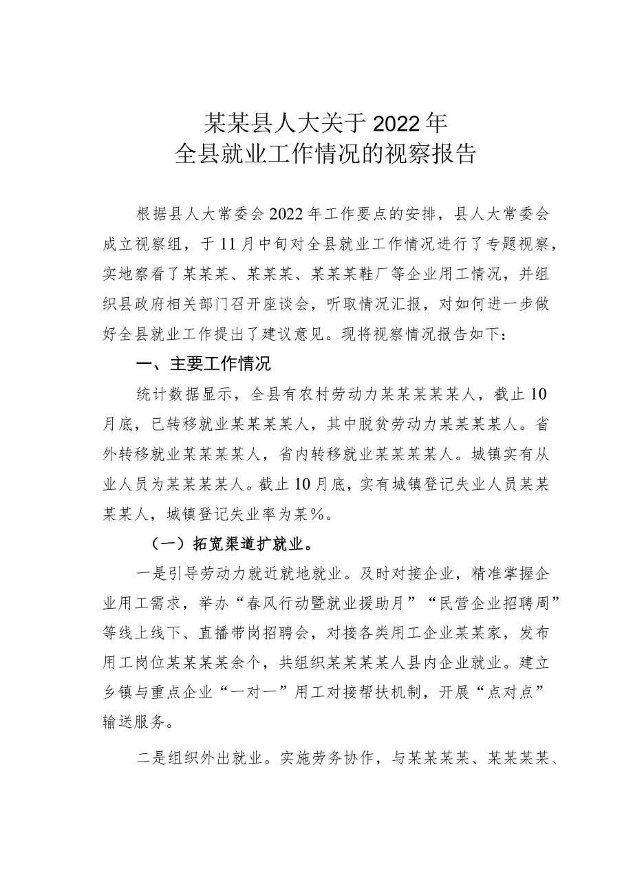 某某县人大关于2022年全县就业工作情况的视察报告.docx_第1页