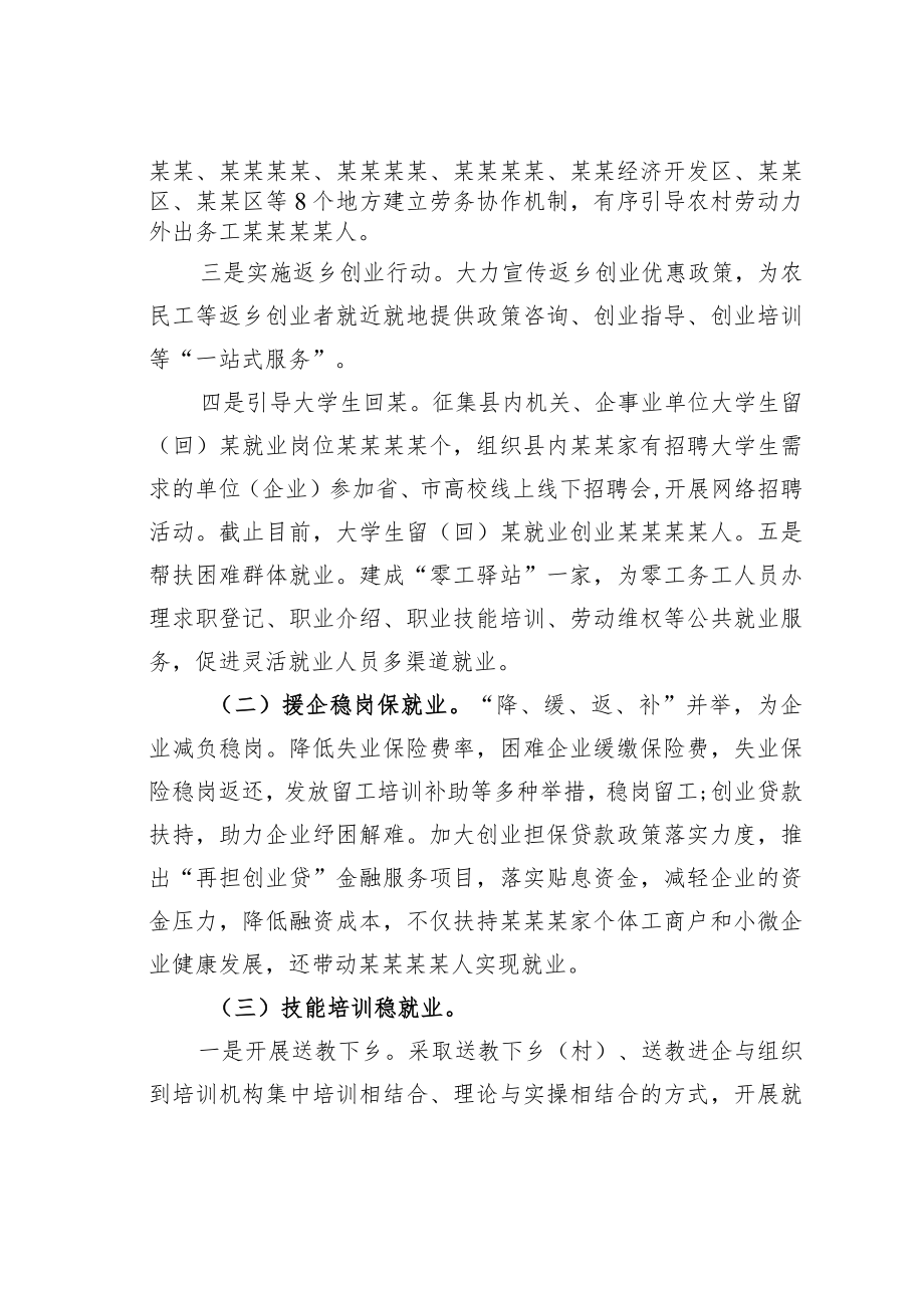 某某县人大关于2022年全县就业工作情况的视察报告.docx_第2页