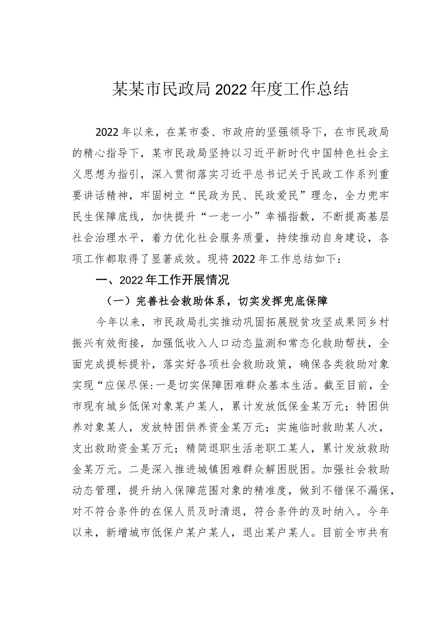 某某市民政局2022年度工作总结.docx_第1页