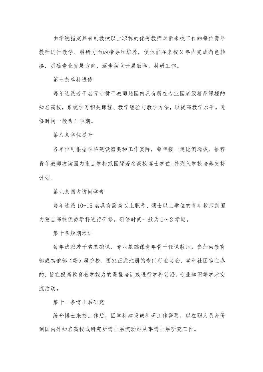 大学关于加强青年教师培养工作的实施意见.docx_第2页