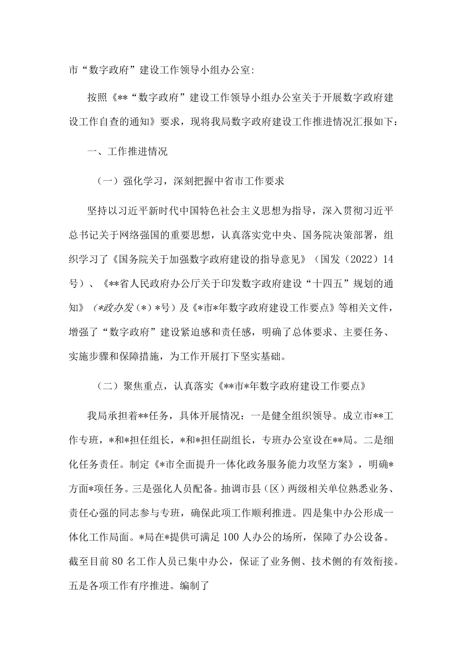 数字政府建设工作自查报告.docx_第1页