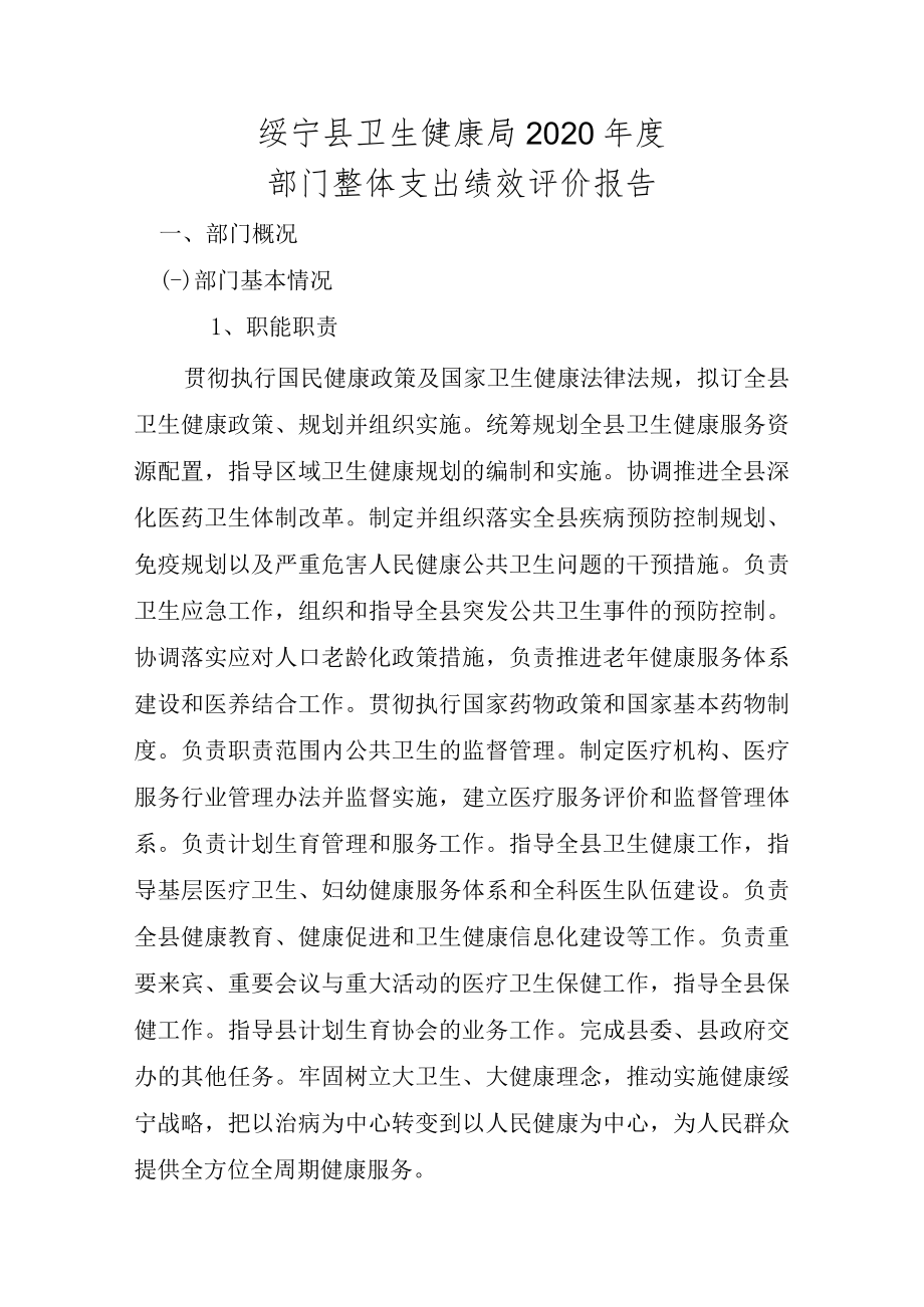 绥宁县卫生健康局2020年度部门整体支出绩效评价报告.docx_第1页