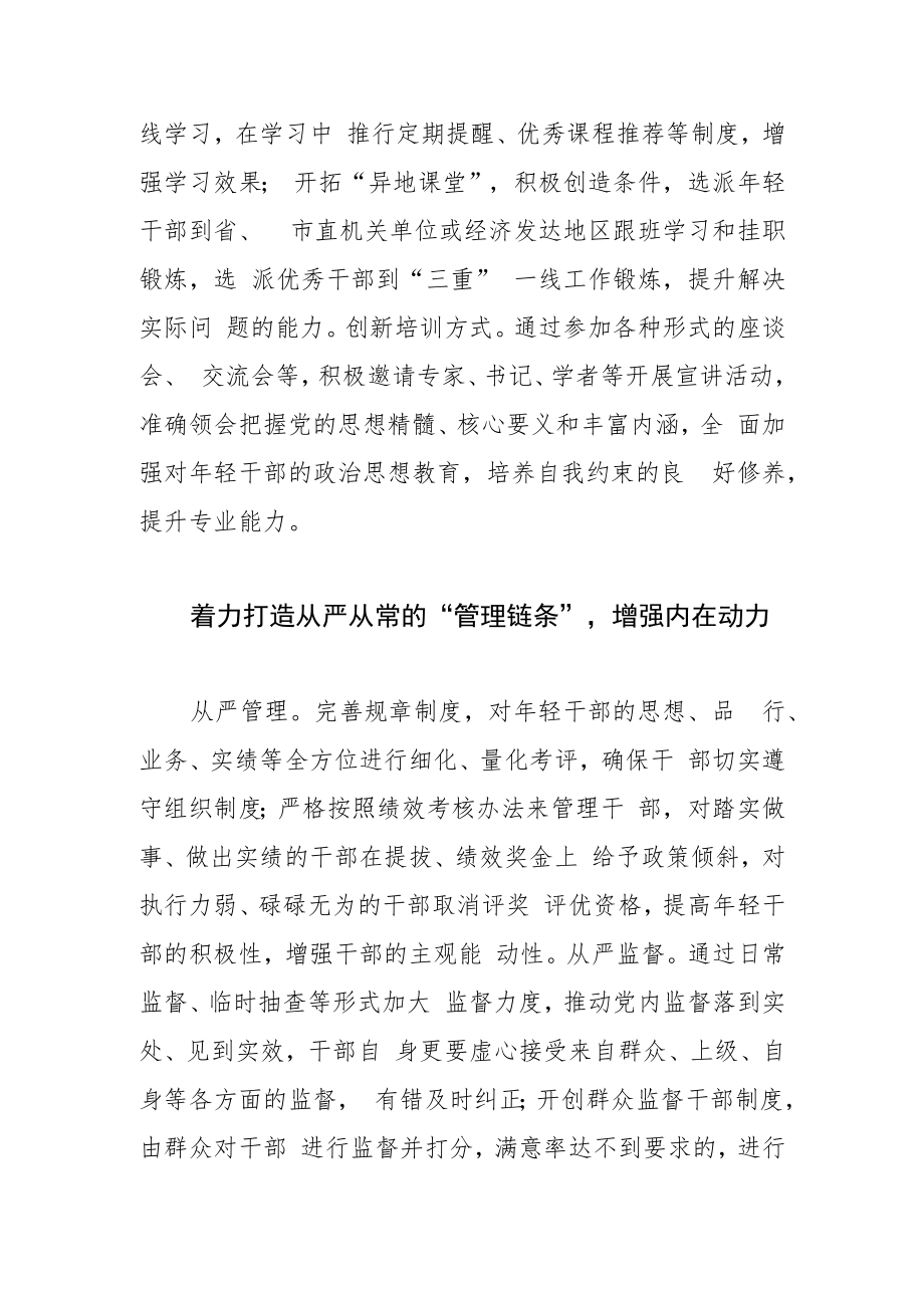 【中心组研讨发言】着力打造年轻干部成长“全链条”.docx_第2页