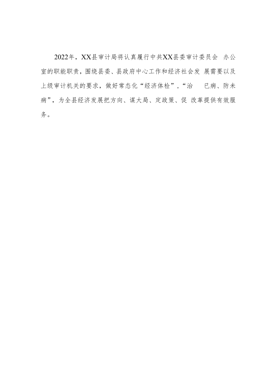 XX县审计局2022年工作计划.docx_第2页