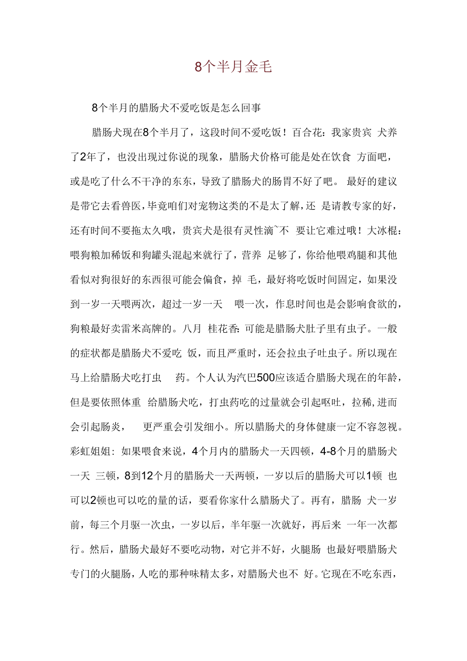 8个半月金毛.docx_第1页