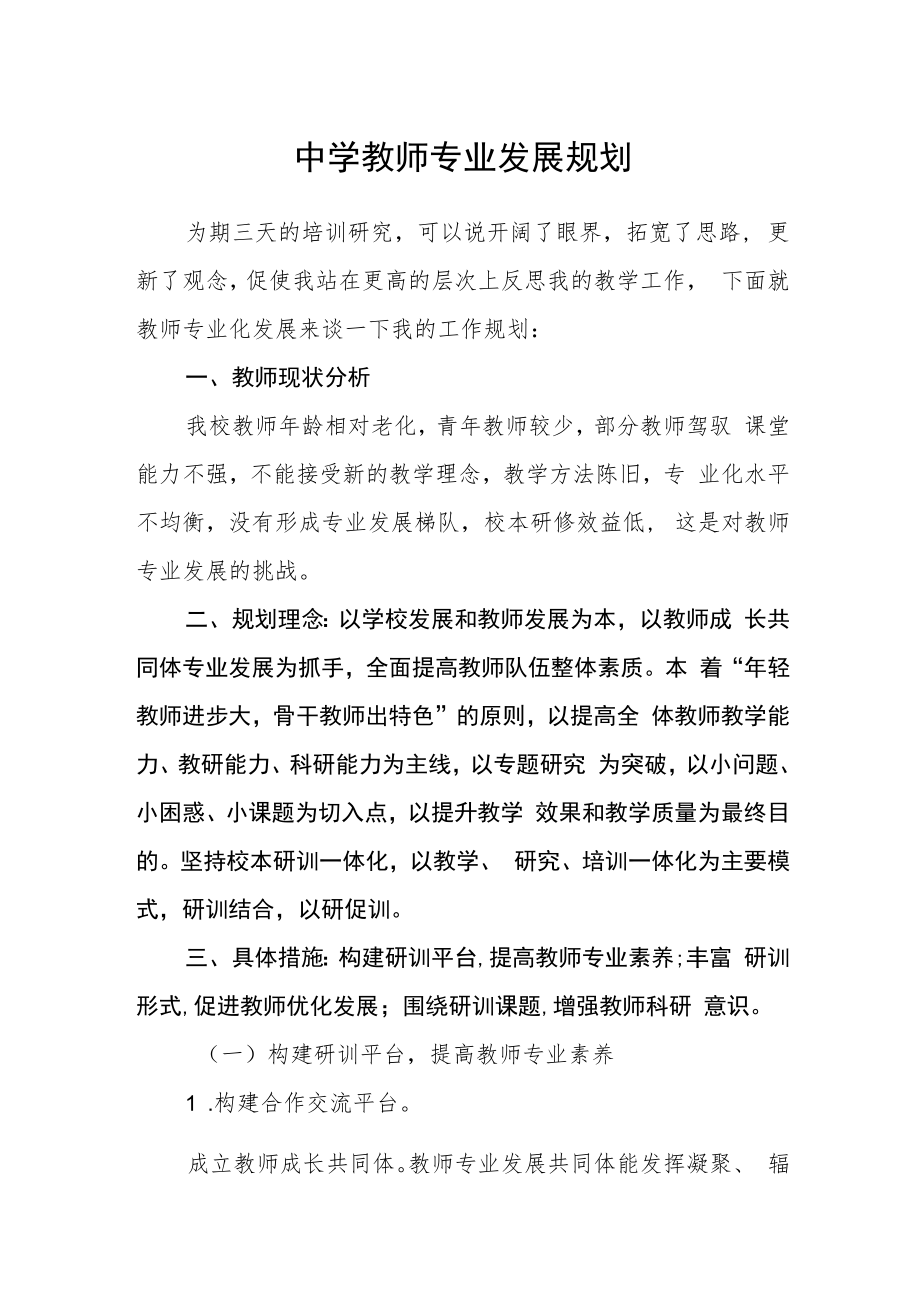 中学教师专业发展规划.docx_第1页