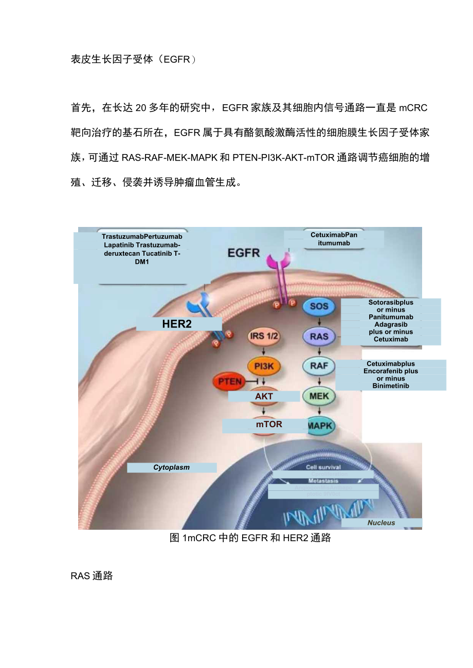 转移性结直肠癌的临床管理策略（全文）.docx_第3页