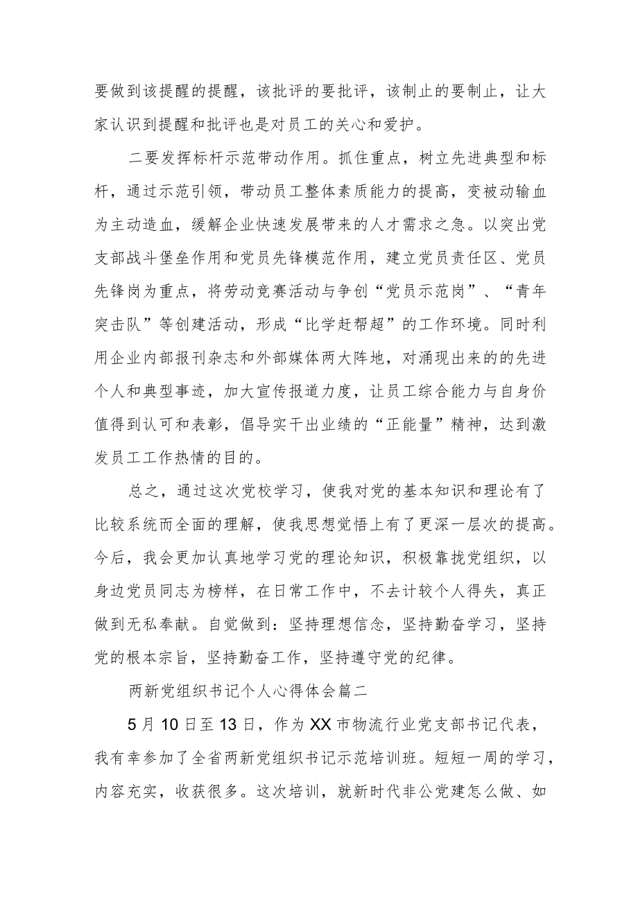 两新党组织书记个人心得体会范文（三篇）.docx_第2页