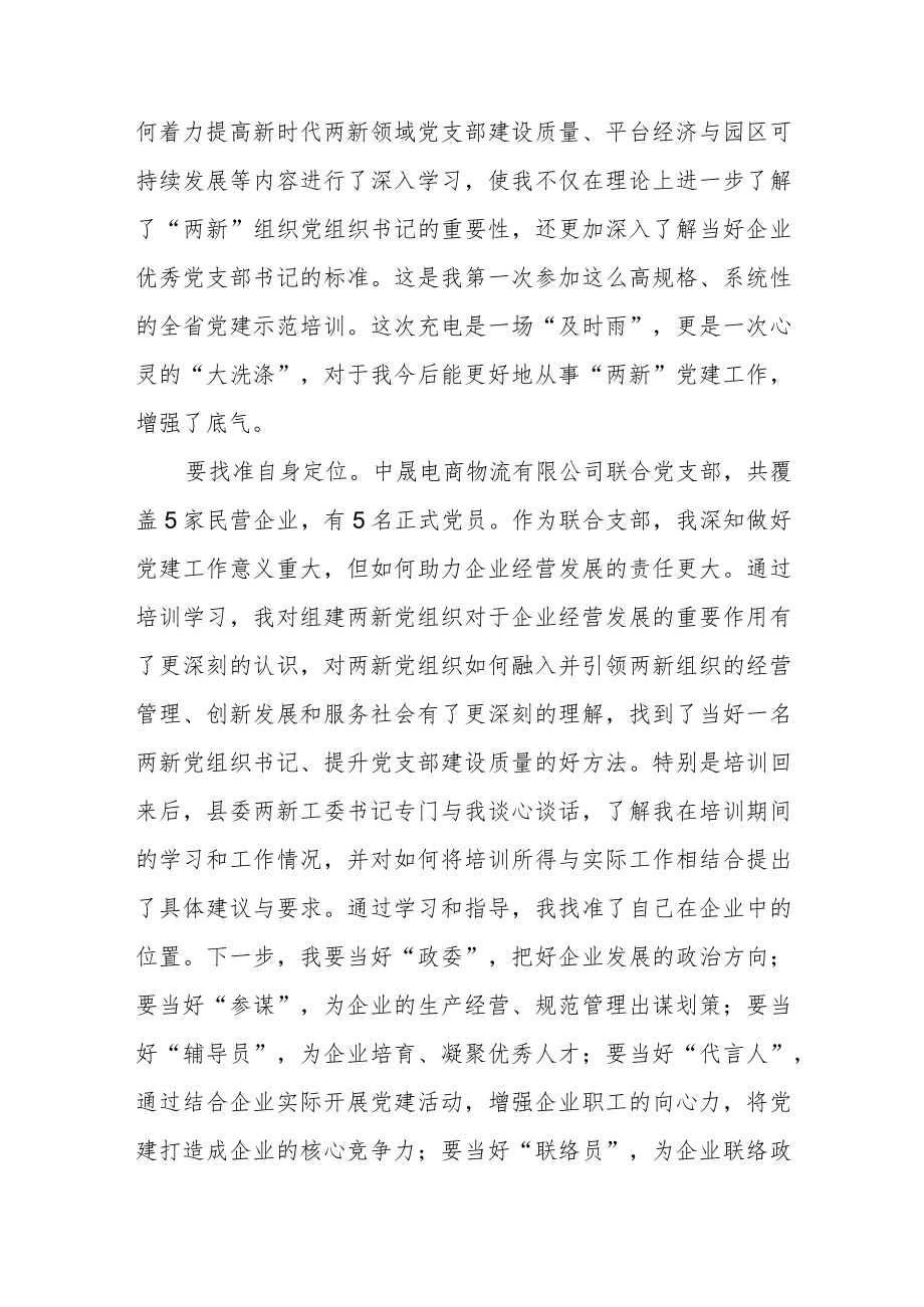 两新党组织书记个人心得体会范文（三篇）.docx_第3页