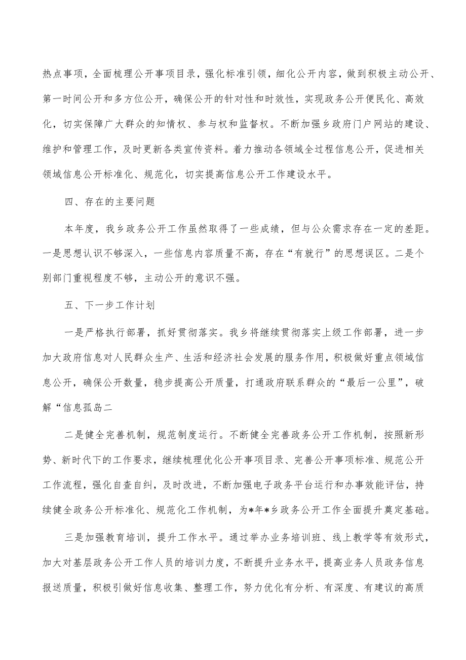 乡2022政务公开工作总结.docx_第2页