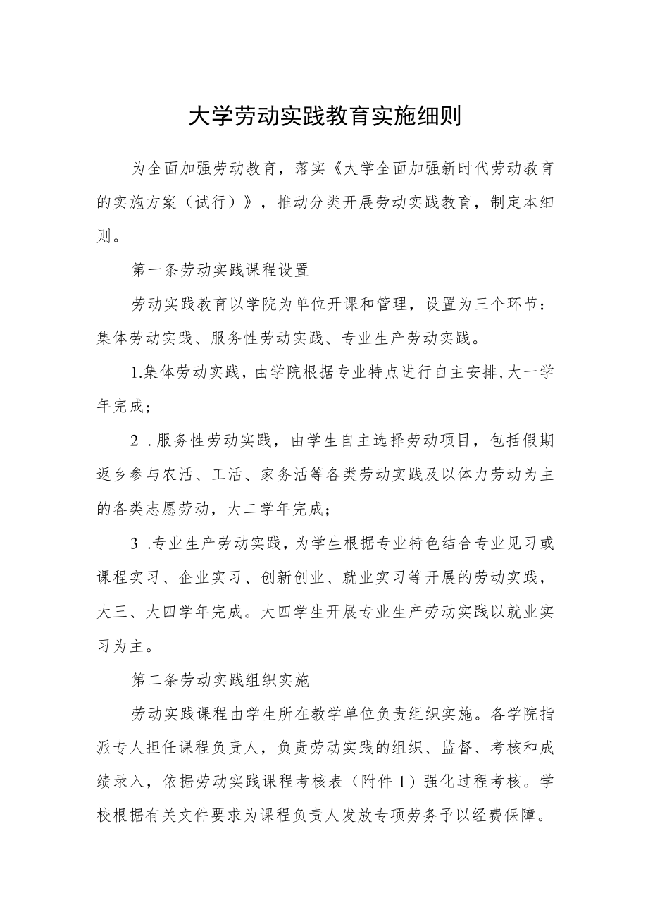 大学劳动实践教育实施细则.docx_第1页