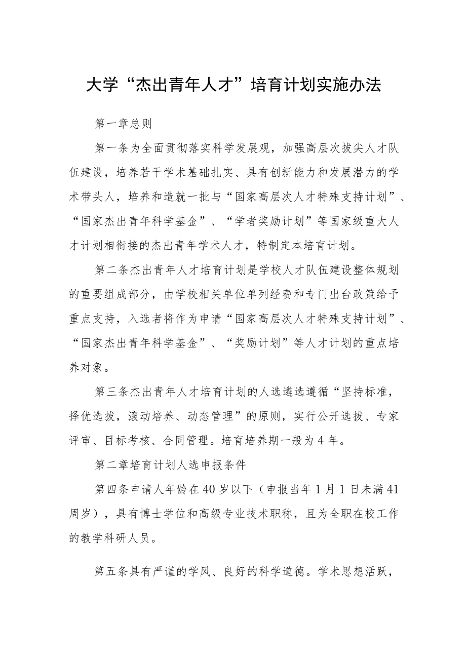 大学“杰出青年人才”培育计划实施办法.docx_第1页