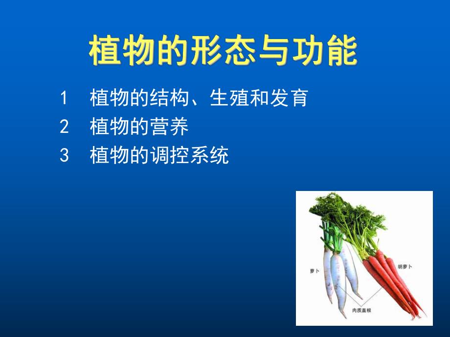 植物的形态与功能.ppt_第1页