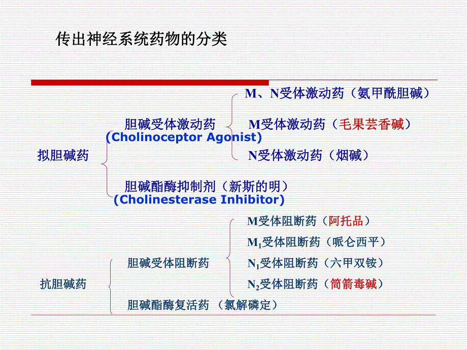 拟胆碱药1名师编辑PPT课件.ppt_第2页