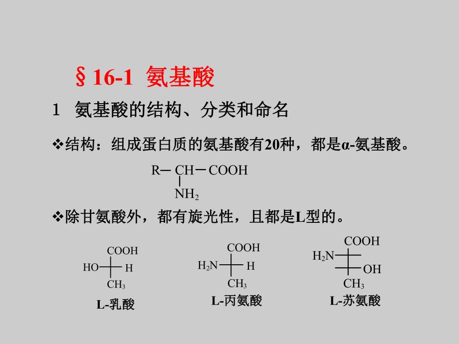 氨基酸、蛋白质.ppt_第2页