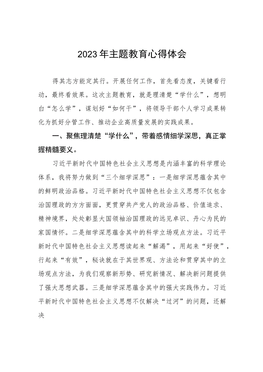 (六篇)2023年集团公司党委书记关于主题教育心得体会.docx_第1页