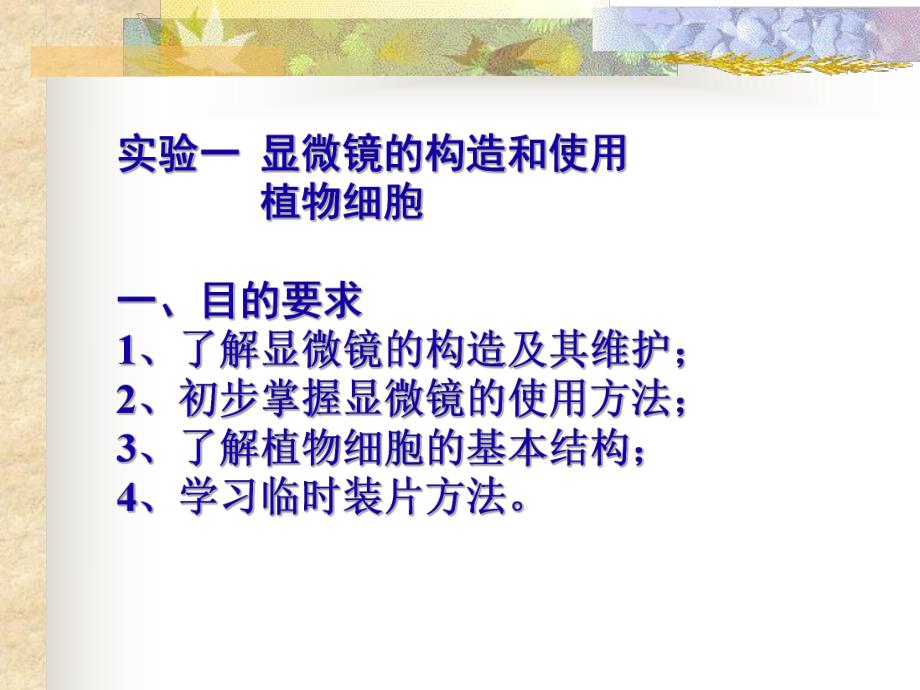 显微镜的构造和使用植物细胞.ppt_第1页