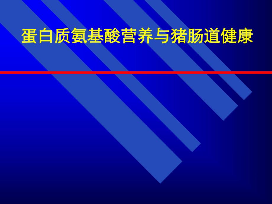 氨基酸营养与肠道健康.ppt_第1页