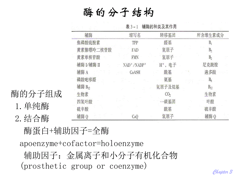 第03章酶ppt课件名师编辑PPT课件.ppt_第3页