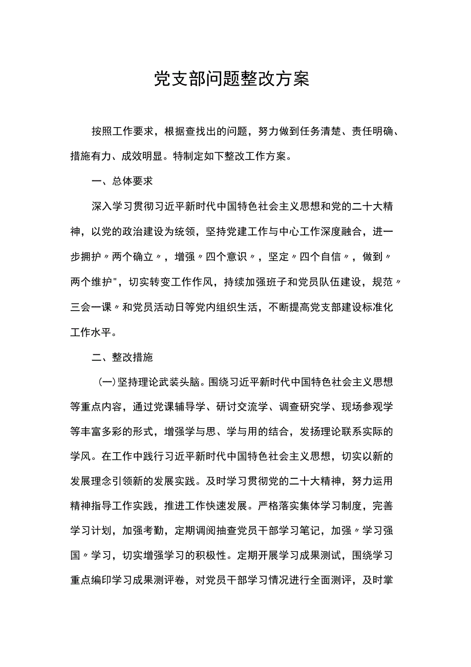 党支部问题整改方案.docx_第1页