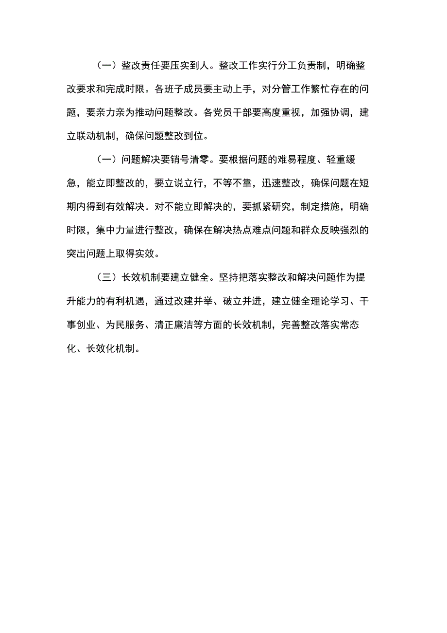 党支部问题整改方案.docx_第3页