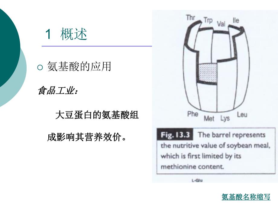 氨基酸发酵工艺.ppt_第3页