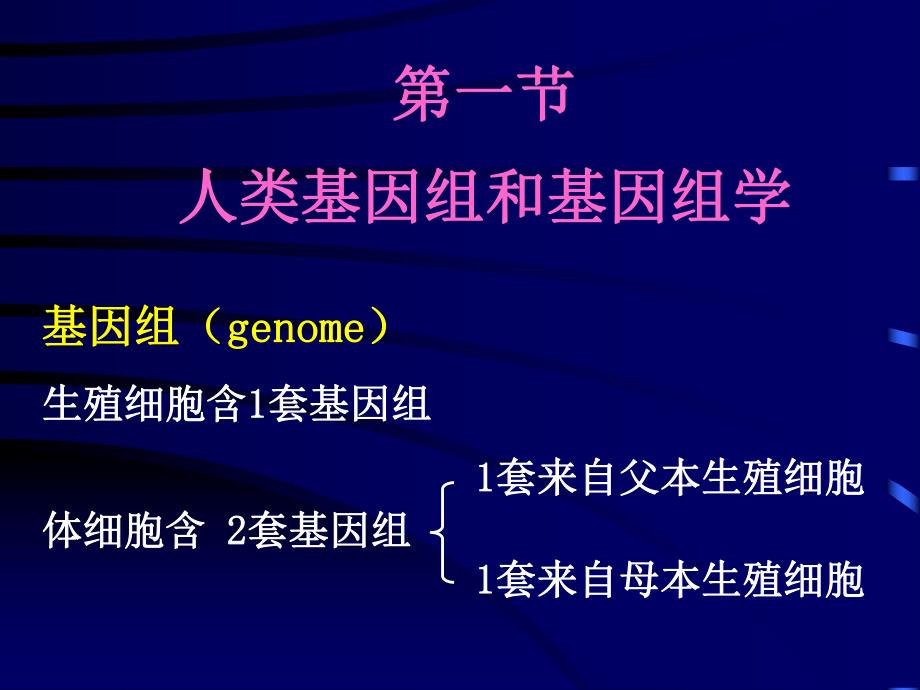 第03章人类基因组学.ppt_第2页