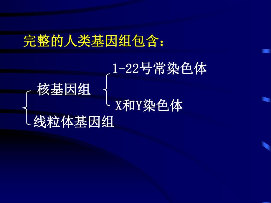 第03章人类基因组学.ppt_第3页