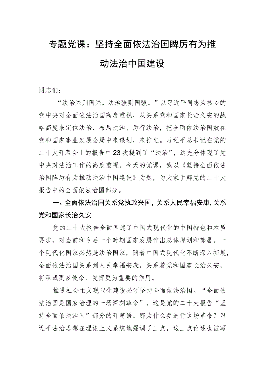 专题党课：坚持全面依法治国踔厉有为推动法治中国建设.docx_第1页