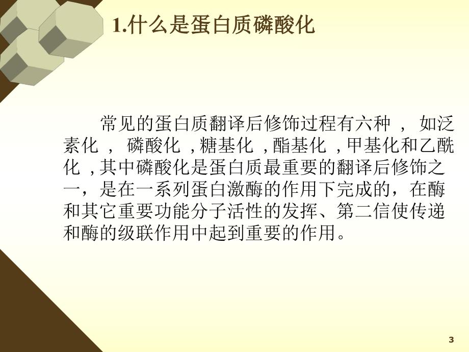 磷酸化位点的预测分析.ppt_第3页