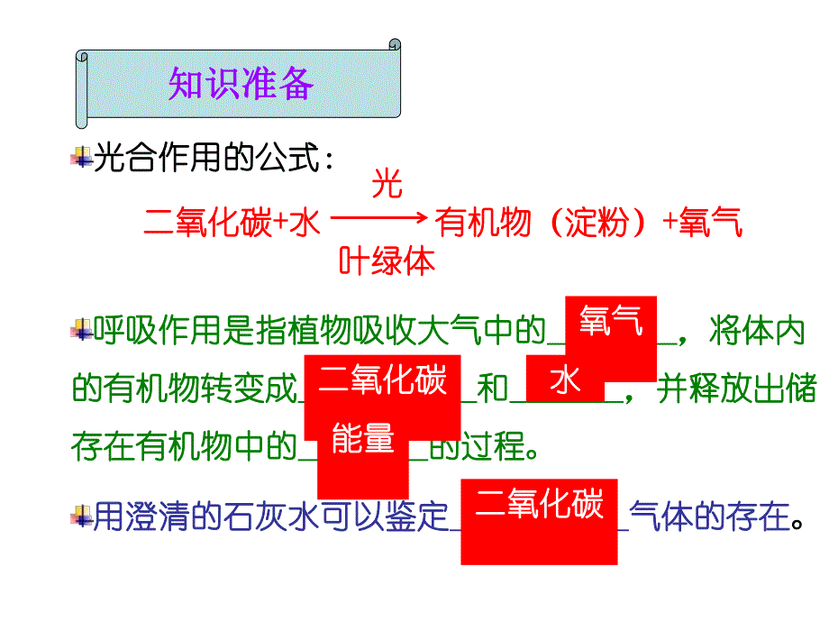 植物的呼吸作用.ppt_第3页