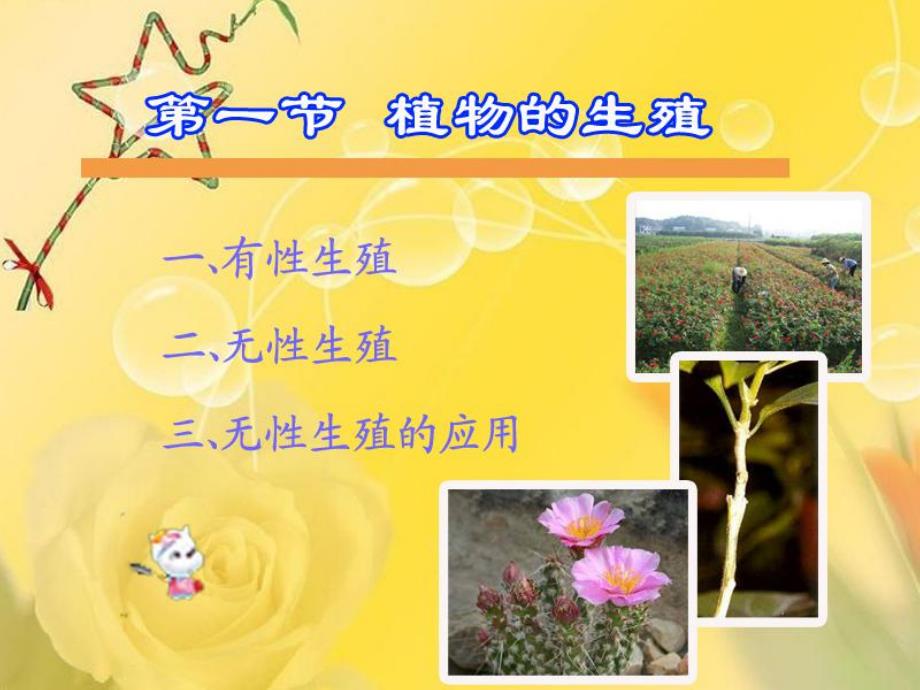 植物的生殖51 .ppt_第1页