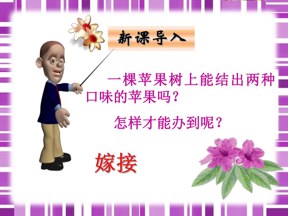 植物的生殖51 .ppt_第2页