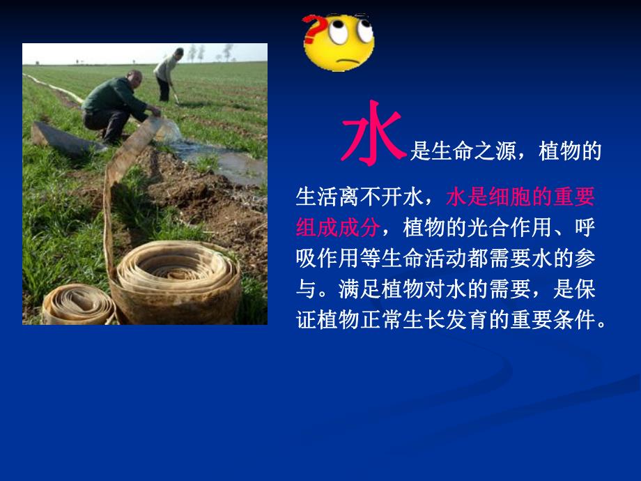 植物生长需要水和无机盐.ppt_第2页