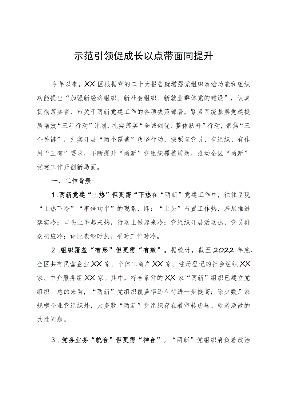 两新党建工作典型经验材料：示范引领促成长 以点带面同提升.docx_第1页