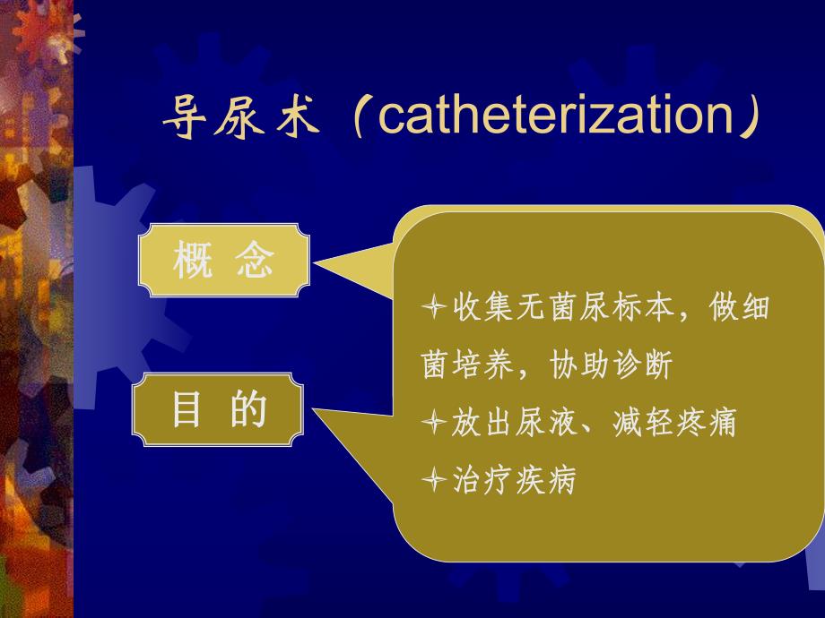 排尿的护理.ppt_第2页