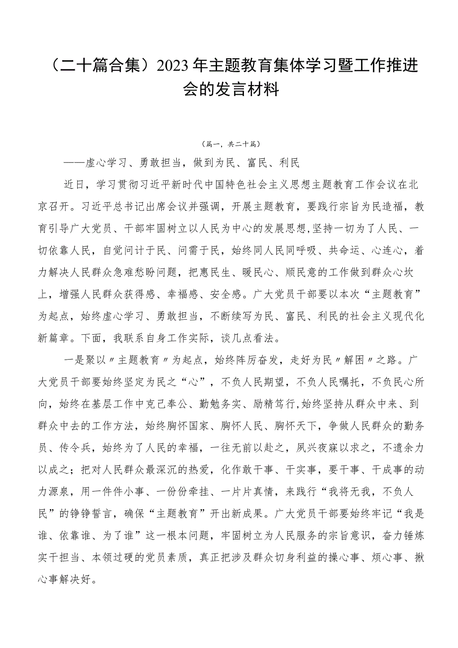 （二十篇合集）2023年主题教育集体学习暨工作推进会的发言材料.docx_第1页