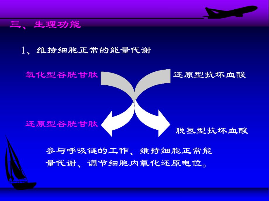 第06章维生素2.ppt_第3页