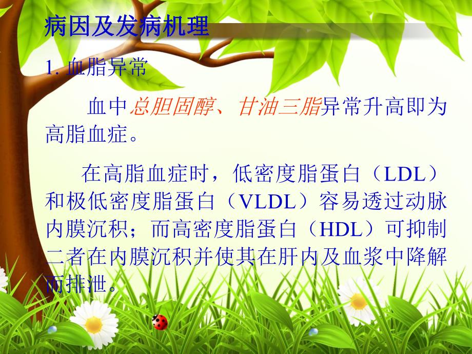 病理基础常见疾病一.ppt_第3页