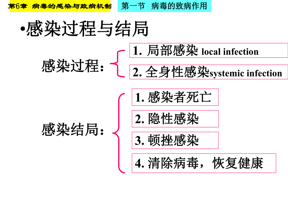 病毒的感染与致病机制名师编辑PPT课件.ppt_第3页