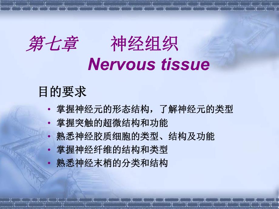 第07章神经组织.ppt_第1页