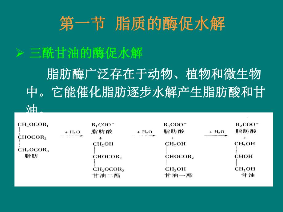 第10章脂质代谢.ppt_第3页